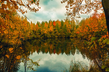 Autumn landscape near a forest lake covered with grass - 549201455