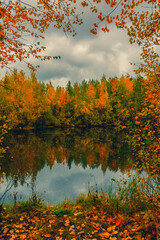 Autumn landscape near a forest lake covered with grass - 549201477