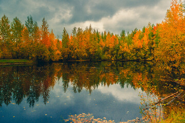 Autumn landscape near a forest lake covered with grass - 549201496