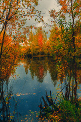 Autumn landscape near a forest lake covered with grass - 549201652