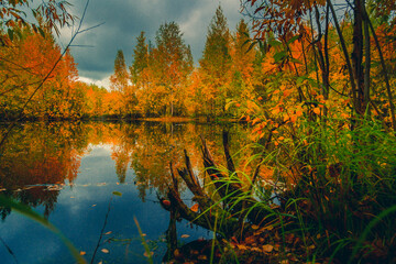 Autumn landscape near a forest lake covered with grass - 549201672