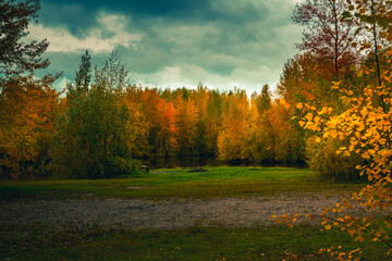 Autumn landscape near a forest lake covered with grass - 549202075