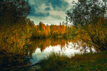 Autumn landscape near a forest lake covered with grass - 549202085