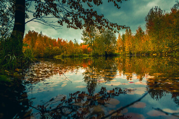 Autumn landscape near a forest lake covered with grass - 549202093