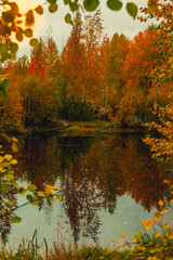 Autumn landscape near a forest lake covered with grass - 549202204