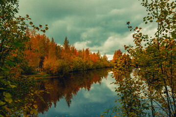 Autumn landscape near a forest lake covered with grass - 549202225