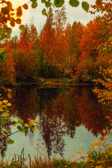 Autumn landscape near a forest lake covered with grass - 549202435