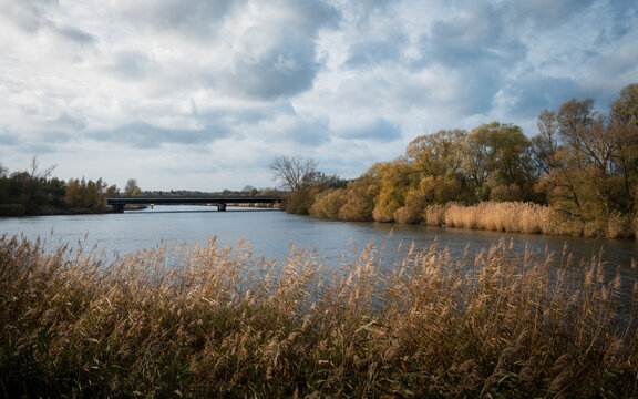 Reeds along Lesum and W&uuml;mme river (side rivers of Weser) near Wasserhorst (Bremen) on a dramatic clouded autumn day. Willows, grey clouded sky and water.
