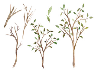 Watercolor big set of young trees, branches and leaves. The beginning of a new season, the awakening of nature, spring. Designer set of elements for decoration