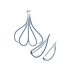 Garlic bulb allium sativum line art vector icon for food apps and websites