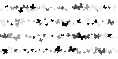 Fototapeta na wymiar Fairy black butterflies flying vector illustration. Spring cute insects. Fancy butterflies flying fantasy wallpaper. Delicate wings moths graphic design. Fragile creatures.