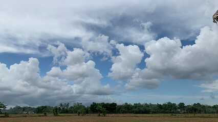 dry rice field conditions after planting rice seeds with a very beautiful view of the clouds