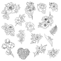 set of hand drawn flowers. line art of flowers. cartoon sketch on a white background