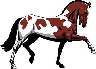Beautiful Cartoon Horse Running. Hand Drawn Illustration Isolated On Transparent Background