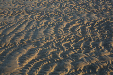Fototapeta na wymiar A close-up of the lines in the sand on the beach which are caused by wind and water. 