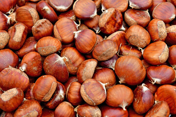 Magny en Vexin; France - november 25 2022 : close up of chestnuts