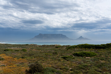 Fototapeta premium Dünen, Vegetation, Strand und Blick auf den Tafelberg.