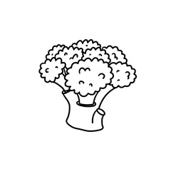 Vector isolated black line broccoli. Organic food illustration for healthy lifestyle and nutrution diet