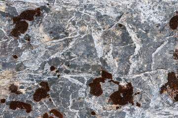 The background is made of old gray rocky stone covered with moss, fungus and mold. For background...