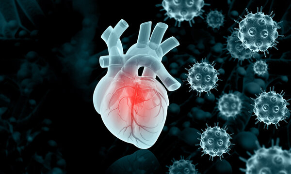 Virus infected human heart. 3d illustration