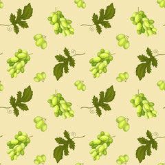 Grape. Seamless Pattern with Bunches of Green Grapes and Leaves. Bright Juicy Grape Berries. The illustration is hand drawn. Design for Packaging, Wine labels, stationery.