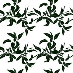 Floral print. White background and black branches. Branches seamless vector pattern. Textile print. Home textiles.