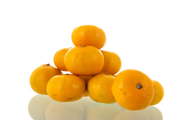 Pile fresh clementines