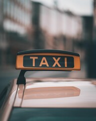 Vertical shot of a taxi sign on a car