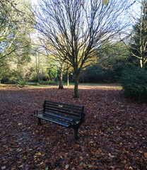 park bench inautumn