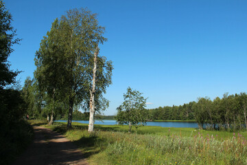 Forest and meadow by Ore river in Orsa, Sweden on a sunny summer day.
