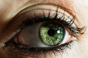 Ojo color verde. Fotografía macro y de detalle