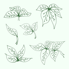 set of leaves. Hand drawn branches with leaves and branch. plant. leaf outline for decoration. Vector Collection of Leaf Silhouettes. 