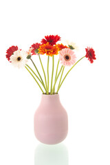 Bouquet Gerber flowers in vase