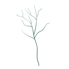 botanical leaves hand drawn vector element