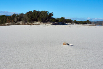 Fototapeta na wymiar A picture of a white sand dune