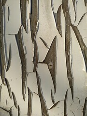Grunge texture. Old metal texture 
