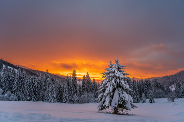 Winter im Schwarzwald