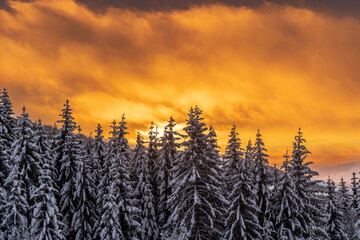 Winter im Schwarzwald