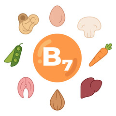 Foods rich in vitamin B7. Poster vitamin B7 in the center with food icons around it: egg, mushroom, carrot, liver, etc. Vector illustration