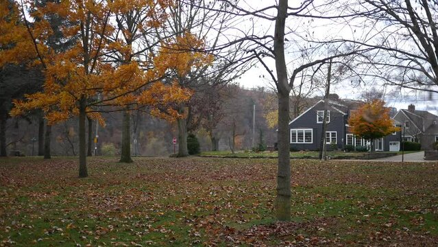 Establishing Shot of a house on the other side of a nature park