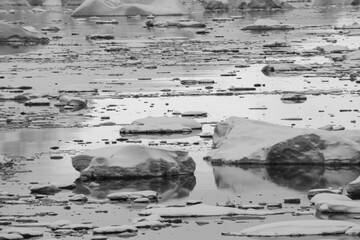 Icebergs floating in the still water around Enterprise Island.  