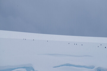 People making their way up the snowy Enterprise Island in Antarctica. 