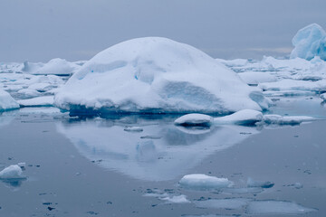 Fototapeta na wymiar Icebergs floating in the still water around Enterprise Island. 
