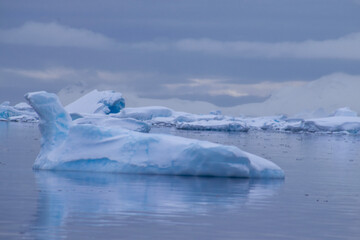 Icebergs floating in the still water around Enterprise Island. 