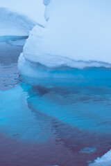 Icebergs floating in the still water around Enterprise Island. 