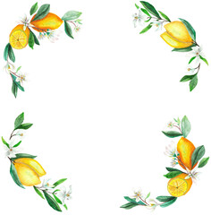 frame with lemons and flowers