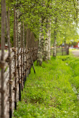 Gammelstad Summer day In Luleå