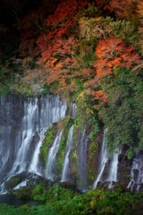 t has became so autumn