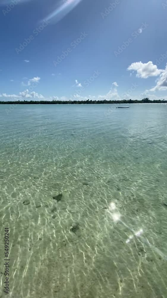 Poster Plage paradisiaque à Maupiti en Polynésie française