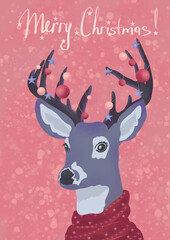 Merry Christmas traditional holiday card, hipster deer, seasonal greeting card, deer with antlers on head and scarf around neck, deer with antlers with christmas balls and stars on pink background